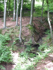 Schluchtenweg