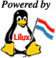 link to http://www.lilux.lu